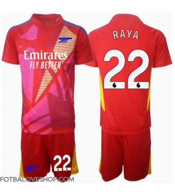 Arsenal David Raya #22 Brankářské Dětské Venkovní Dres 2024-25 Krátký Rukáv (+ trenýrky)